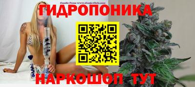 apvp Обнинск