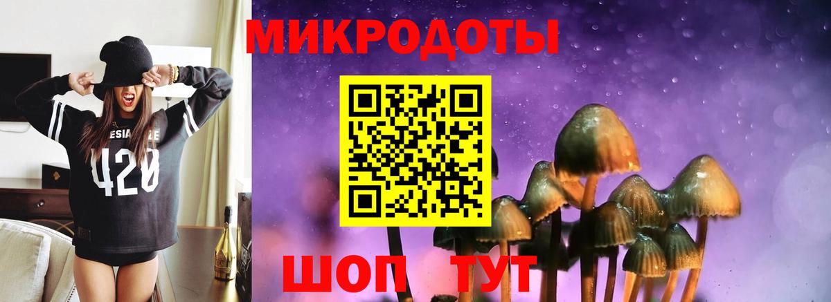 Галлюциногенные грибы Psilocybe  Вход с VPN  Ревда 